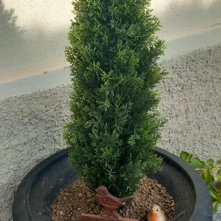 Konukevi Reverie Foligno