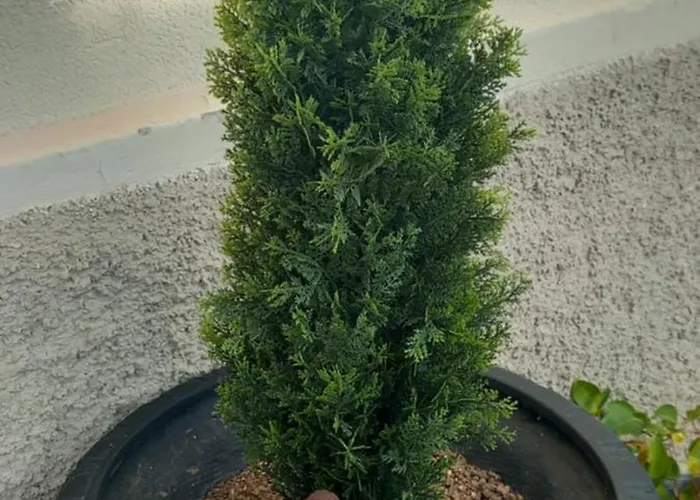 Casa de hóspedes Reverie Foligno